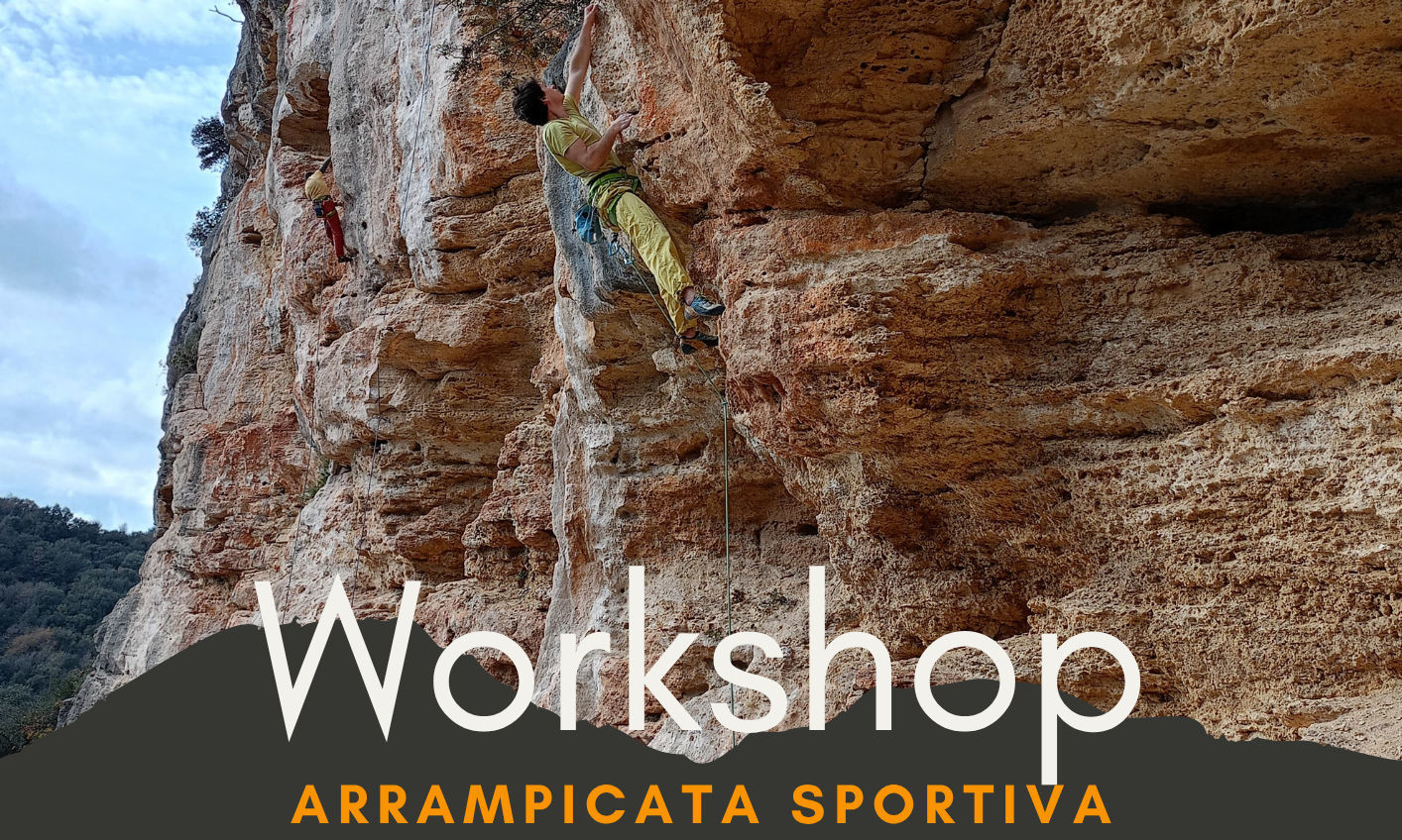 Workshop arrampciata sportiva base